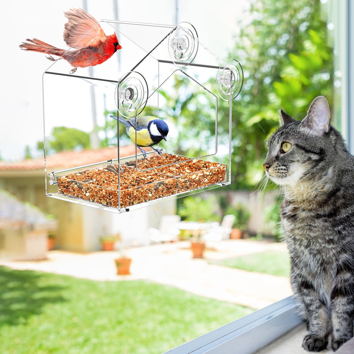 Seven-inch entrance on FLINTER Window Bird Feeder fits large birds like cardinals