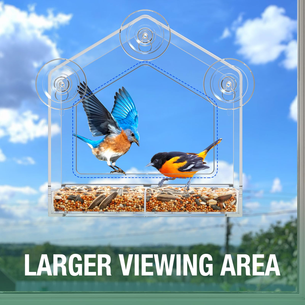 FLINTER Window Bird Feeder showing squirrel-proof design to deter intruders
