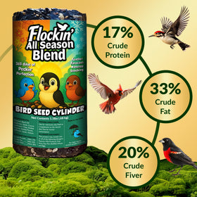 Cardinals and blue jays feeding near a Flockin' cylinder in the yard