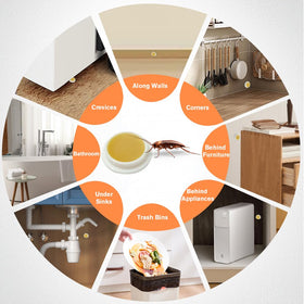 FLODTEEK long-lasting roach control for ongoing protection.