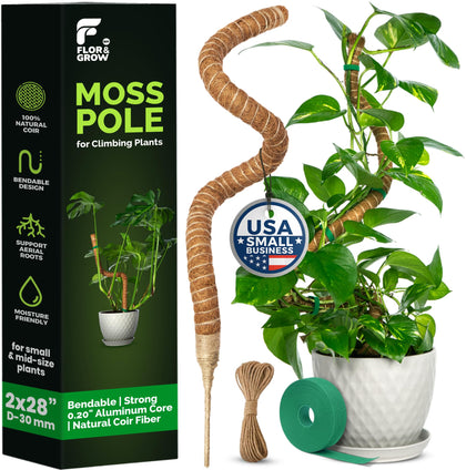 Flor&AN Grow 28-inch moss pole supports Monstera climbers indoors.