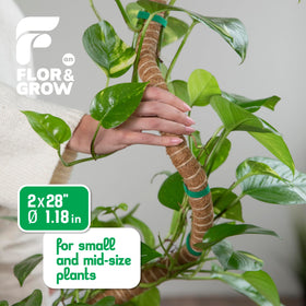Flor&AN Grow bendable moss pole adapts to plant growth shapes.