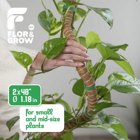 Flor&amp;AN Grow bendable moss pole adapts to plant shapes as they climb.