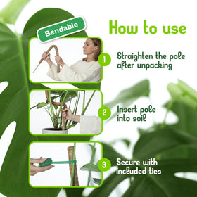 Flor&amp;AN Grow coconut fiber wrap retains moisture for tropical climbers.