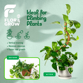 Flor&AN Grow coconut-fiber-wrapped pole helps aerial roots attach.