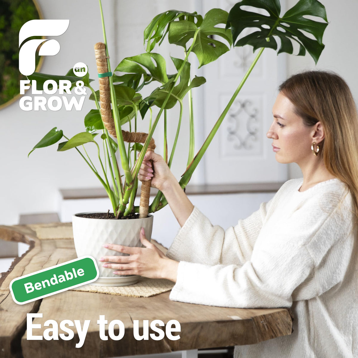 Flor&amp;AN Grow indoor trellis setup for pothos and monstera climbers.