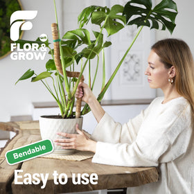 Flor&amp;AN Grow indoor trellis setup for pothos and monstera climbers.