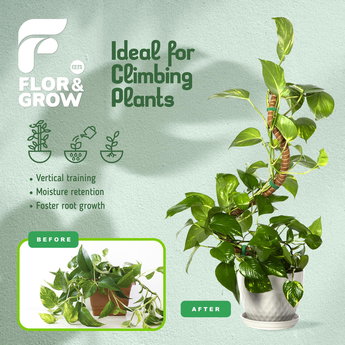 Flor&amp;AN Grow natural jute binding ensures a durable, rot-free pole.