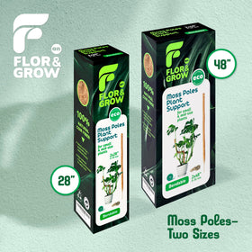 Flor&AN Grow two-pack moss poles for indoor plant setups.