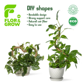 Flor&amp;AN Grow two-pack provides twin support for climbing plants.