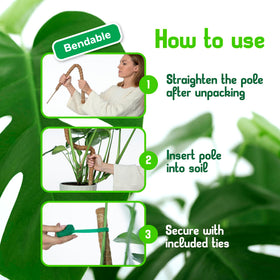 Flor&AN Grow Velcro ties enable quick tool-free moss pole assembly.