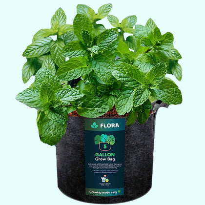 Flora 5-gallon grow bag side view shows sturdy fabric and breathability for healthier roots.