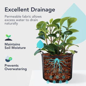 Flora grow bag in garden demonstrates portable plant relocation.