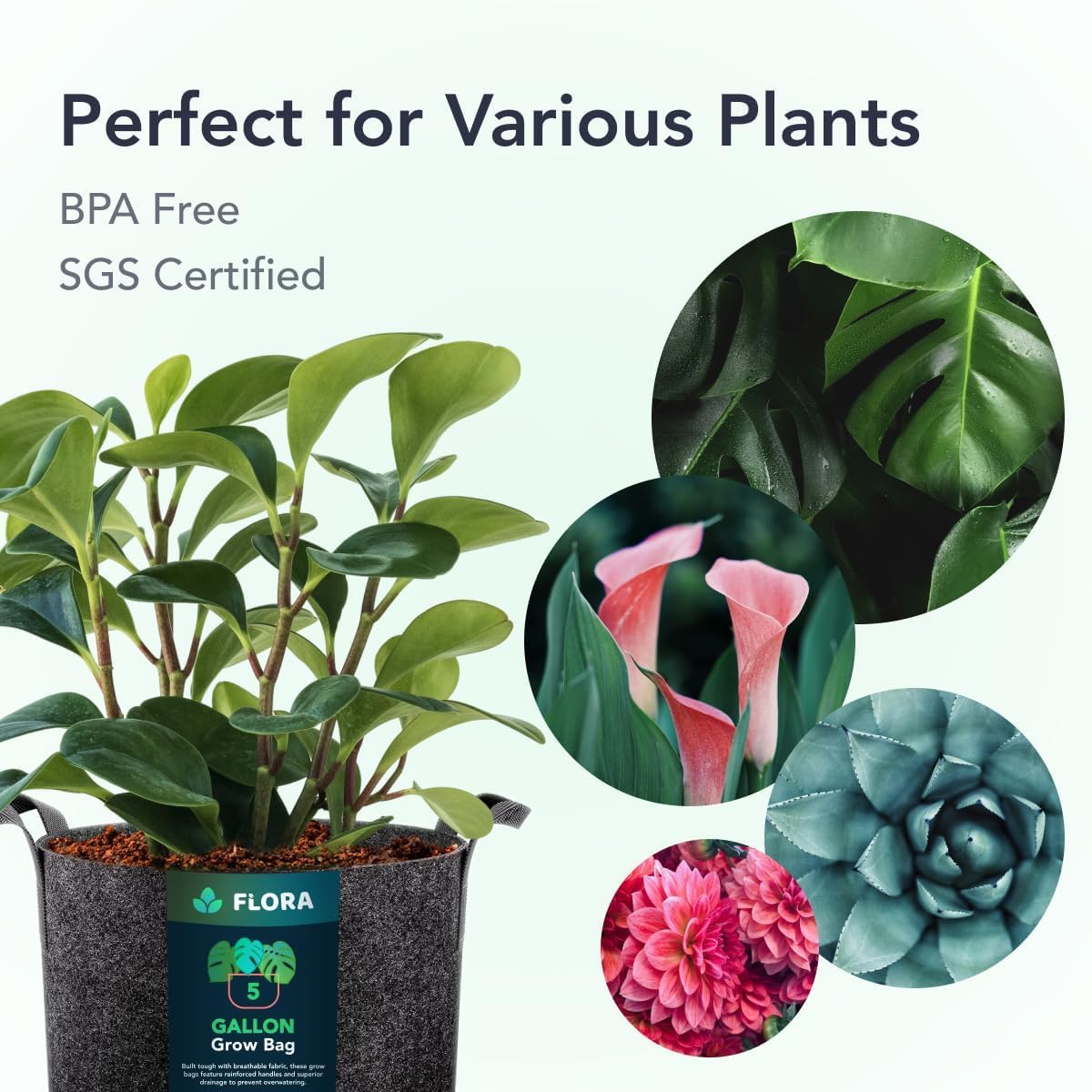 Flora grow bag in potting soil setup ready for planting season.