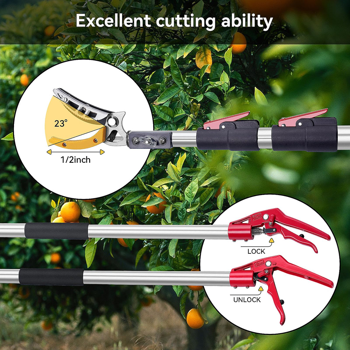 FLORA GUARD fruit picker enables easy harvesting from high branches.