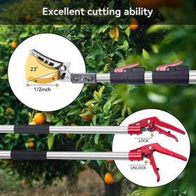 FLORA GUARD fruit picker enables easy harvesting from high branches.