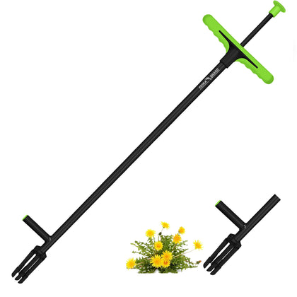 FLORA GUARD weed puller with 40-inch handle removing weeds upright in lawn