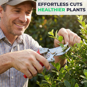Flora Pruning Shears ideal for roses, bonsai, and shrubs in daily care.