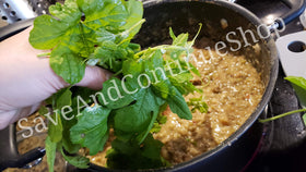 Floralys Ampalaya leaves and fruits ready for fresh cooking.