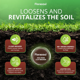 Florasoul Clay Breaker ready-to-use granules in a bed promote faster root development
