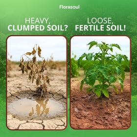 Florasoul Clay Breaker soil-structure visual illustrates improved drainage and root access