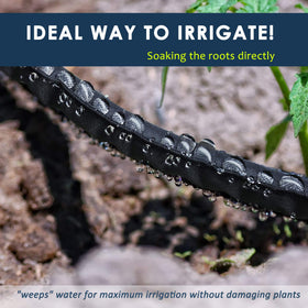 FLORIAX root-delivery watering supports deep root hydration with minimal runoff.