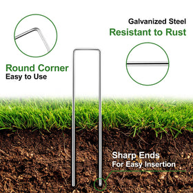Florise sharp-tip garden stake eases soil insertion for secure anchoring.