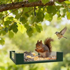 FlowaFoli Platform Bird Feeder shows acrylic side panels for unobstructed viewing