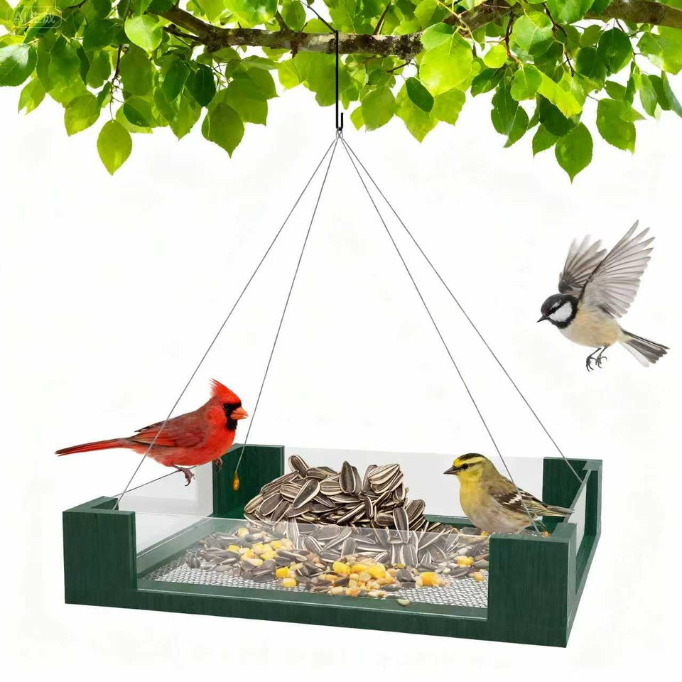 FlowaFoli Platform Bird Feeder with clear view panels for easy birdwatching and seed monitoring