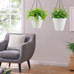 Flowyypo indoor-outdoor planter suitable for ivy, pothos, and ferns.