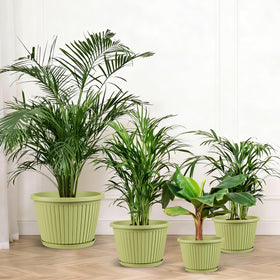 Flowyypo outdoor-ready 10-inch planter for patio or balcony greenery.