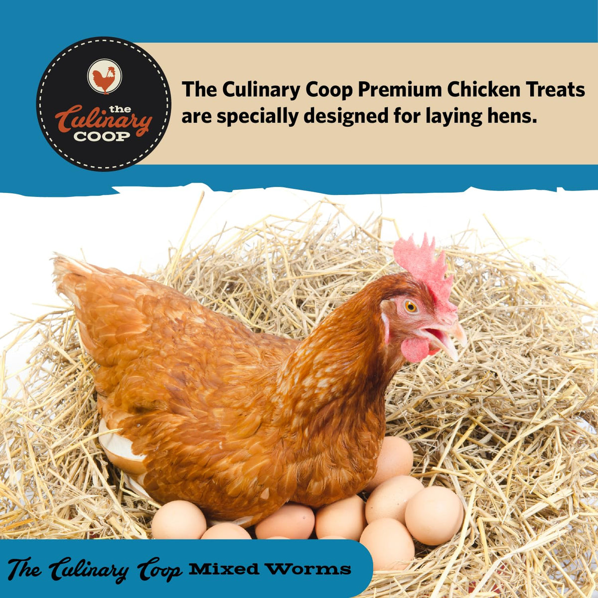 Fluker's soldierworms closeup Calcium and protein for laying hens