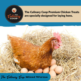 Fluker's soldierworms closeup Calcium and protein for laying hens
