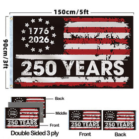 FLUUZE double-sided 250th anniversary flag shown on a flagpole