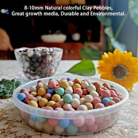 FlwSoil decorative rocks add color while reducing soil splashes inside pots.