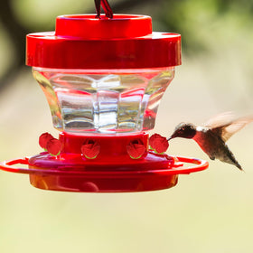 Flylin hummingbird feeder replacement heart flowers red enhance aesthetic appeal