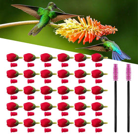Flylin hummingbird feeder red flowers attract hummingbirds with vibrant color in outdoor gardens