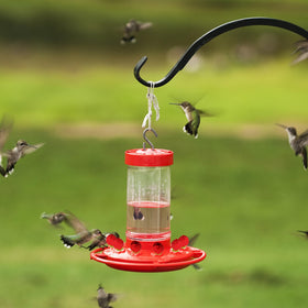 Flylin hummingbird feeder setup for outdoor spaces adds seasonal charm