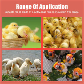 Flylin set supports ducks, quail, pigeons, and other small birds.
