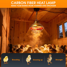 FMATOZ adjustable hanging chain enables precise temperature gradients in a coop.