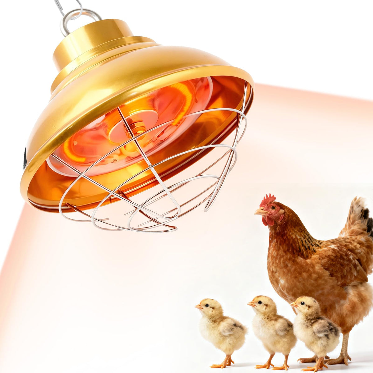 FMATOZ chicken heat lamp with carbon fiber tube provides fast, even warmth for chicks.