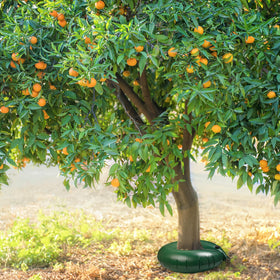 Foaincore circular design allows quick, tidy installation around trees.