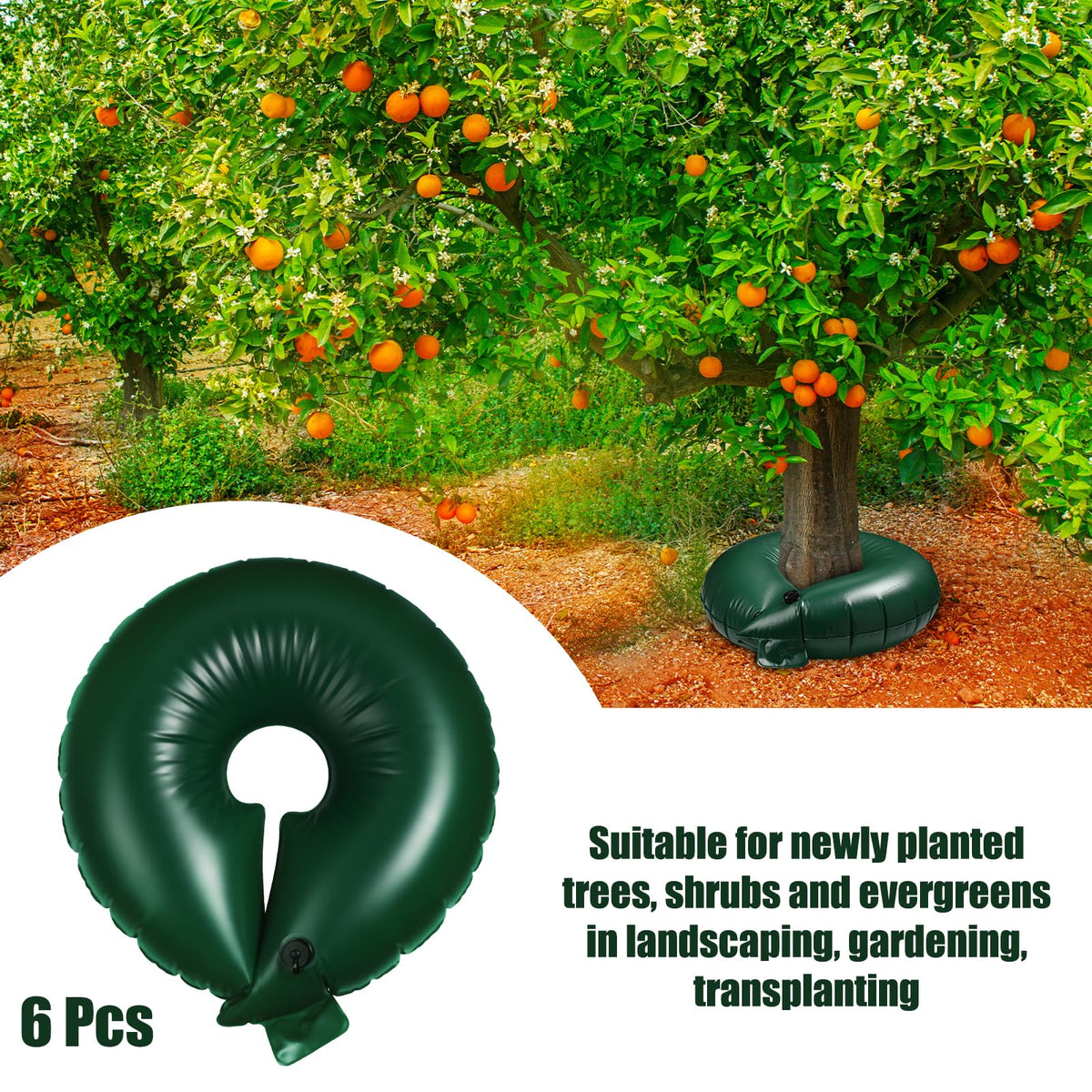 Foaincore rings are ideal for new plantings in yards and landscapes.