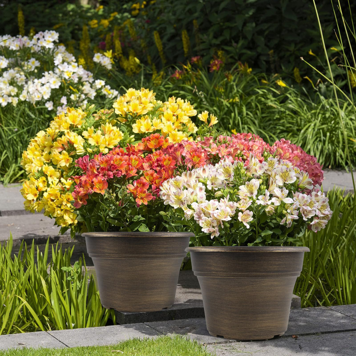 Fodetyff decorative dark-gold container set elevates any indoor space