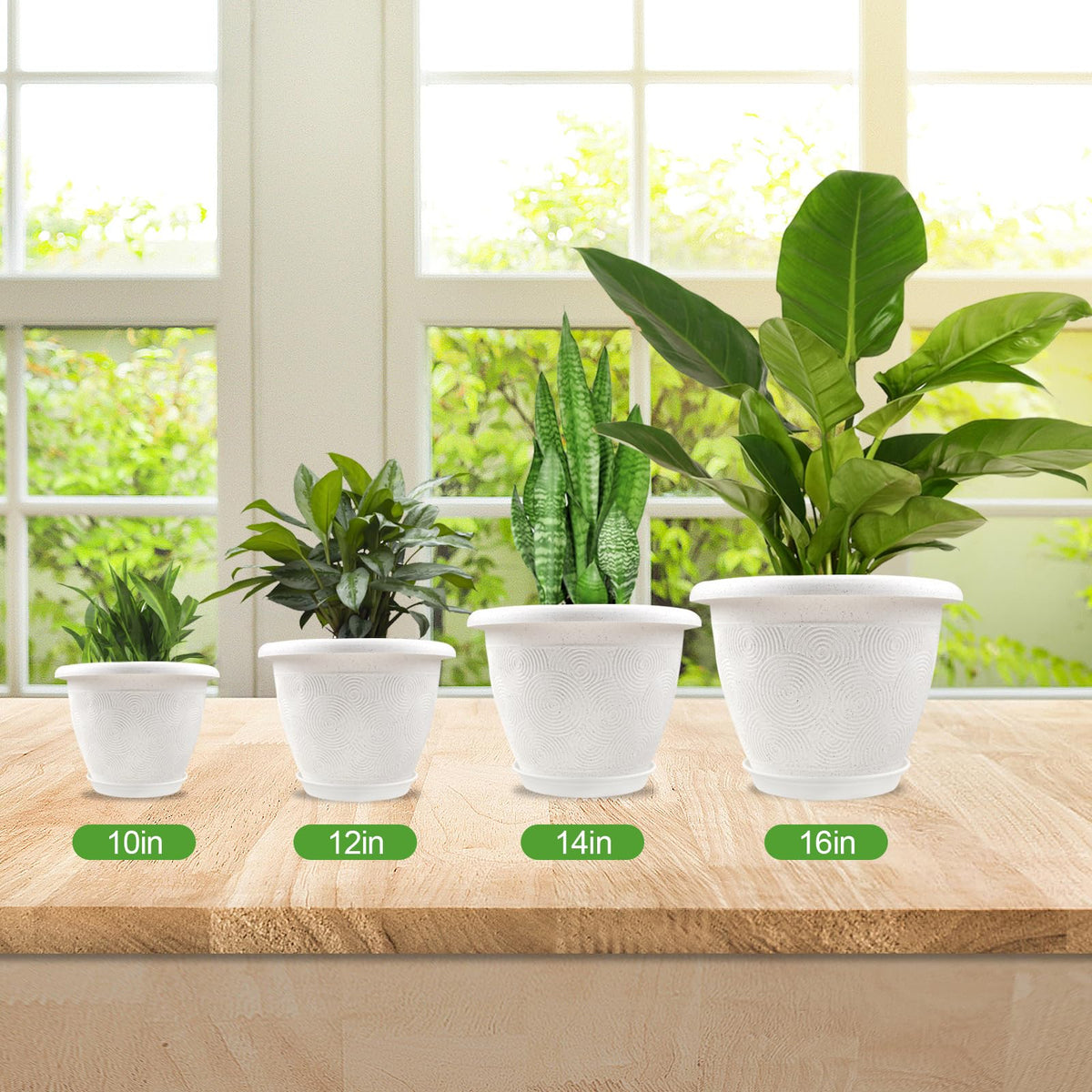 Four-pack planter collection by Fodetyff for coordinated spaces.