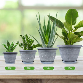 Fodetyff planter enhances windowsills, shelves, and balconies.
