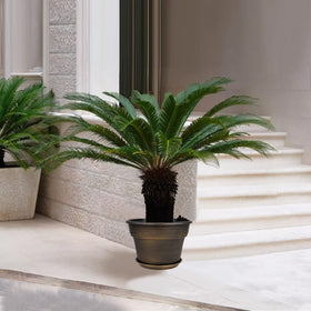 Fodetyff 13-inch planters ideal for aloe, pothos, and spider plants.