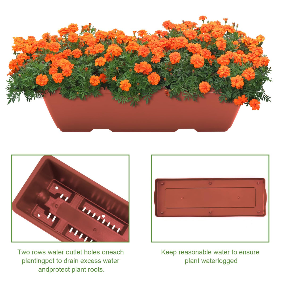 Herbs, flowers, and vegetables organized in red vertical planter