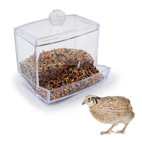 FOIBURELY Button Quail Feeder front view shows transparent acrylic for easy seed monitoring