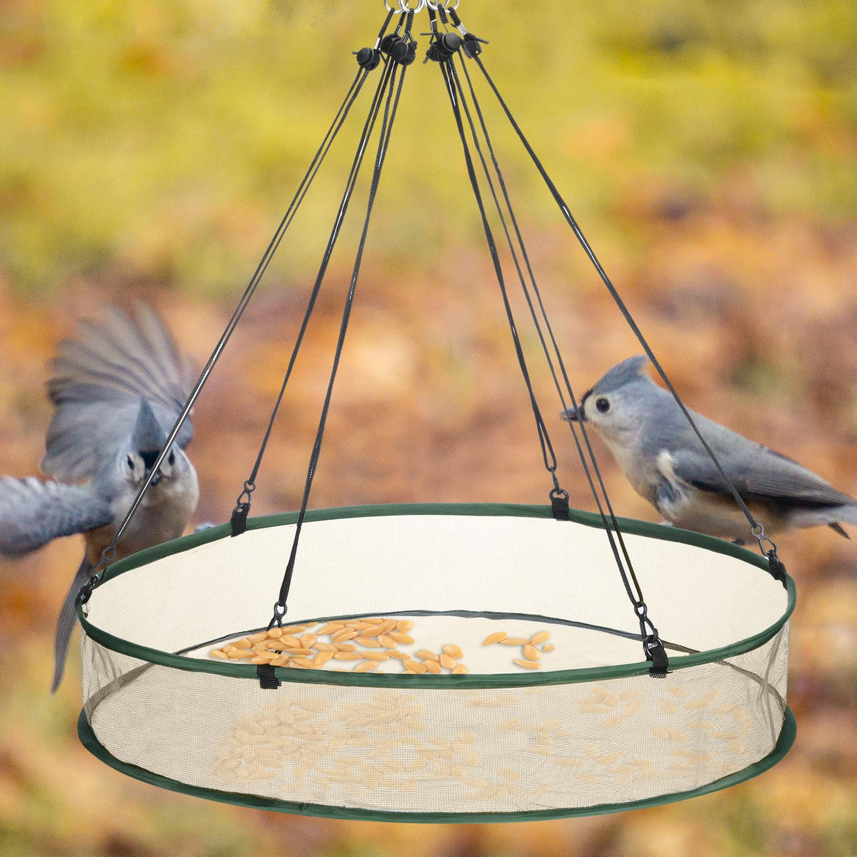 FoldTier 24x24 inch hoop accommodates several bird species while keeping seed contained.